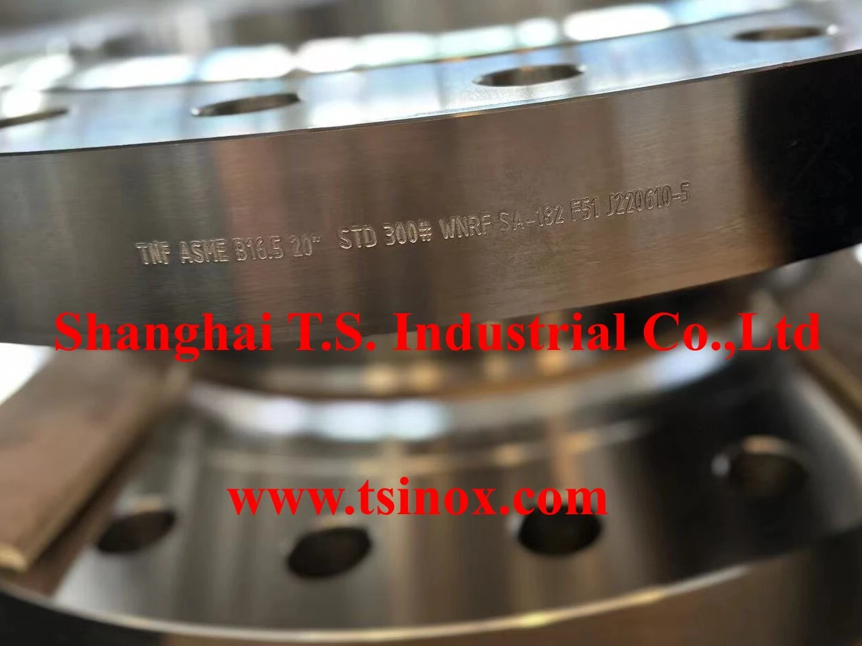 SA182 F51 Forged Steel Flange SA182 F51 Forged Steel Flange